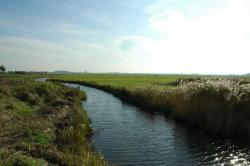 Polder Arkemheen