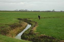 Zomerdijk