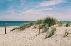 Foto: Unsplash